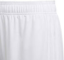 adidas Tastigo19 Youth Soccer Shorts