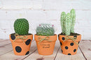 My Urban Crafts 16 Pcs Small Mini Clay Pots 2.5” x 3” Terra Cotta Pots Terracotta Cactus Flower Pots Ceramic Pottery Planters Succulent Nursery Pots for Indoor/ Outdoor Plants, Crafts, Wedding Favors