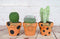 My Urban Crafts 16 Pcs Small Mini Clay Pots 2.5” x 3” Terra Cotta Pots Terracotta Cactus Flower Pots Ceramic Pottery Planters Succulent Nursery Pots for Indoor/ Outdoor Plants, Crafts, Wedding Favors