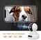 WiFi Monitor-Ebitcam 1080P HD Home Surveillance IP Camera with Pan/Tilt/Zoom,Night Vision Motion Detection 2-Way Audio -for Home Safety Baby Pet Cam, Cloud Storage, Compatible with Alexa
