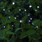 150LED 55ft 16m 8modes Solar String lights - Dolucky Solar Fairy Lights Blue Waterproof Copper Wire Lights Outdoor Lighting for Garden, Wedding, Homes, Party, Halloween, Chrsitmas Decoration