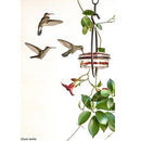 Mosaic Birds M045-301 Hummble Slim Hummingbird Feeder