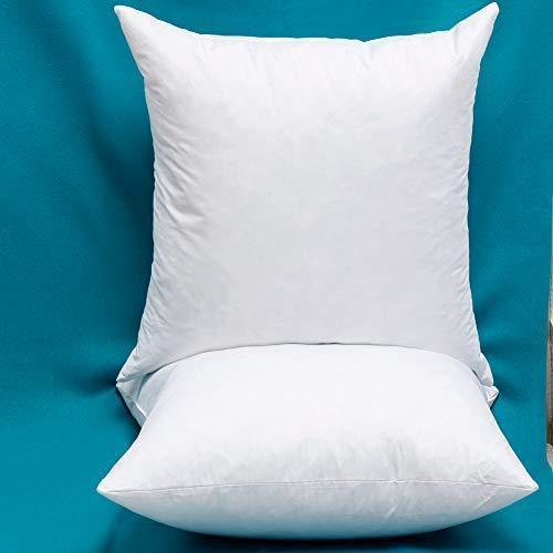 YSTHER Set of 2, Down and Feather Cushion, Decorative Throw Pillow Insert 18x18 for Couch