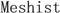 Meshist French Fry Cutter Potato Chipper with 2 Interchangeable Stainless Steel Blades, Vegetable slicer for Potatoes Carrots Cucumbers for Home Kitchen