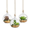 SunGrow 3 Hanging Glass Terrariums Spherical Air Plant Orb - Handmade, Heat-Resistant Glass - Create Refreshing Atmosphere in Terrace Garden - Rocks, Plants & Other Accessories NOT Included