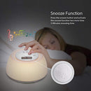 Wake Up Light Alarm Clock Sunrise Sunlight Simulation, Sleep Aid Therapy Lamp Timer with Sunset White Noise, Natural Gradual Bedside Night Light for Kids Adult Gift, Snooze Function for Heavy Sleepers
