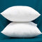 YSTHER Set of 2, Down and Feather Cushion, Decorative Throw Pillow Insert 18x18 for Couch