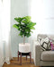 Mid Century Plant Stand - Up to 10'' Flower Pot, Wood Indoor Planter Holder, Modern Home Decor (Planter Not Included)