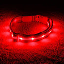 Blazin' Safety LED Dog Collar – USB Rechargeable with Water Resistant Flashing Light