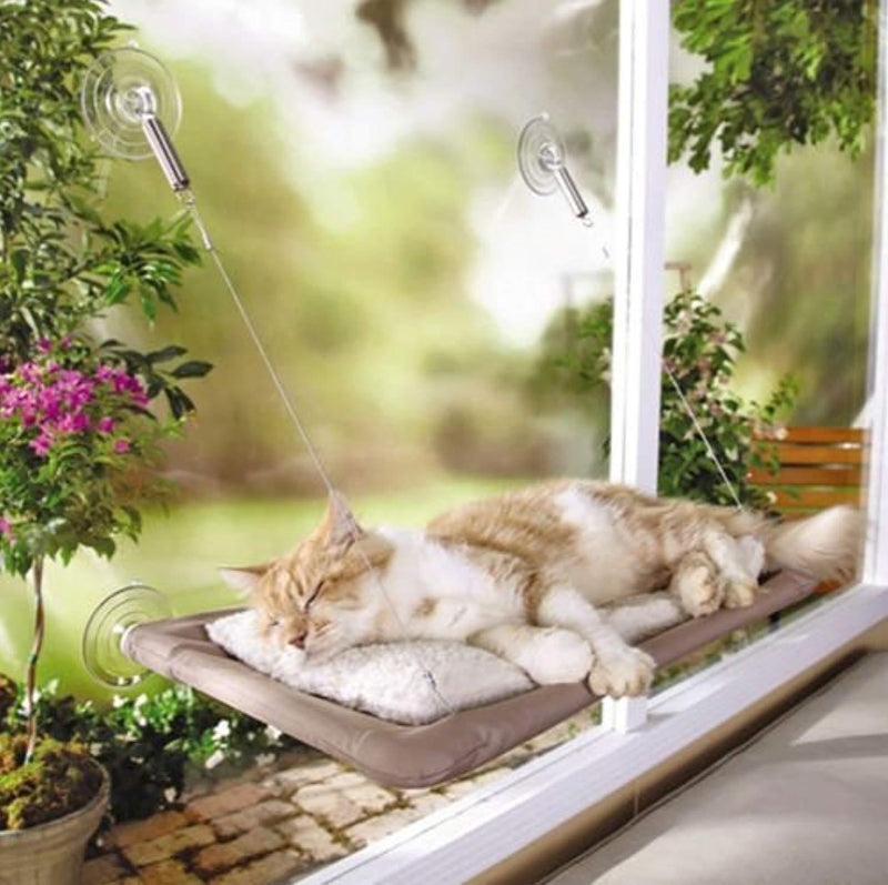 PETPAWJOY Cat Bed, Cat Window Perch Window Seat Suction Cups Space Saving Cat Hammock Pet Resting Seat Safety Cat Shelves - Providing All Around 360° Sunbath for Cats Weighted up to 30lb