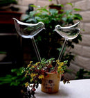 Self Watering Globes Aqua Bulbs Hand-blown Mini Glass Automatic Plant Waterer Bird Decorative Design,Set of 3