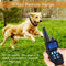 Dog Training Collar with Remote Rainproof Shock Collar 800 Yards Control with Beep Vibration and Harmless Shock No Barking Collar for Small Medium Large Dog