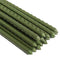 Sturdy Steel Garden Stakes 4-Ft Plastic Coated Plant Stakes, 10Packs for Climbing Plants