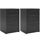 Ameriwood Home Core 2 Drawer File Cabinet, Espresso