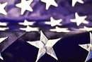 Heavy Duty Stars Embroidered and Sewn Stripped American National Flag - 210D Genuine Nylon (2X3)