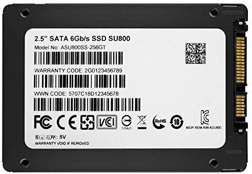 ADATA SU800 256GB M.2 2280 SATA 3D NAND Internal SSD (ASU800NS38-256GT-C)