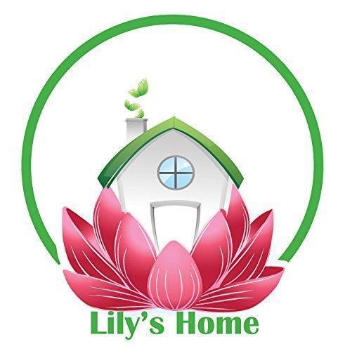 Lily's Home Analog Weather Station, with Galileo Thermometer, a Precision Quartz Clock, Analog Hygrometer, and Fitzroy Storm Glass Weather Predictor, 5 Multi-Colored Spheres (4.25 in x 5 in)