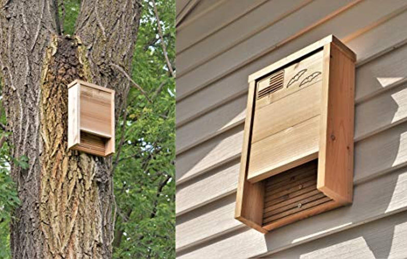Premium Bat House | Made in USA | Western Red Cedar | Ready to install | Ideal Bat Shelter for extremely hot to warm climates | Environmentally Responsible Eco-Friendly Mosquito Control | Cedar