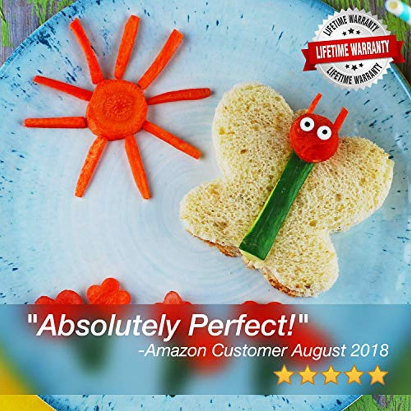 Fun Sandwich and Bread Cutter Shapes for kids - 10 Crust & Cookie Cutters - PLUS 6 FREE Mini Heart & Flower Stainless Steel Vegetable & Fruit Stamp Set and 10 Food Picks Loved by both Boys & Girls!