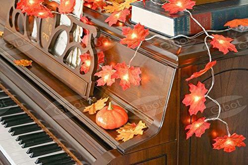 GiBot Thanksgiving Autumn Maple Light String 20 LED Light Fairy Light 8 Light Mode Switch (with Remote Control) 3AA Battery Powered for Room Decoration Birthday Party Wedding Girl Room Outdoor Garden