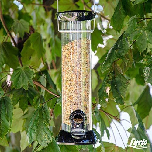 Lyric 2647440 Fine Tunes No Waste Bird Seed Mix, 15 lb