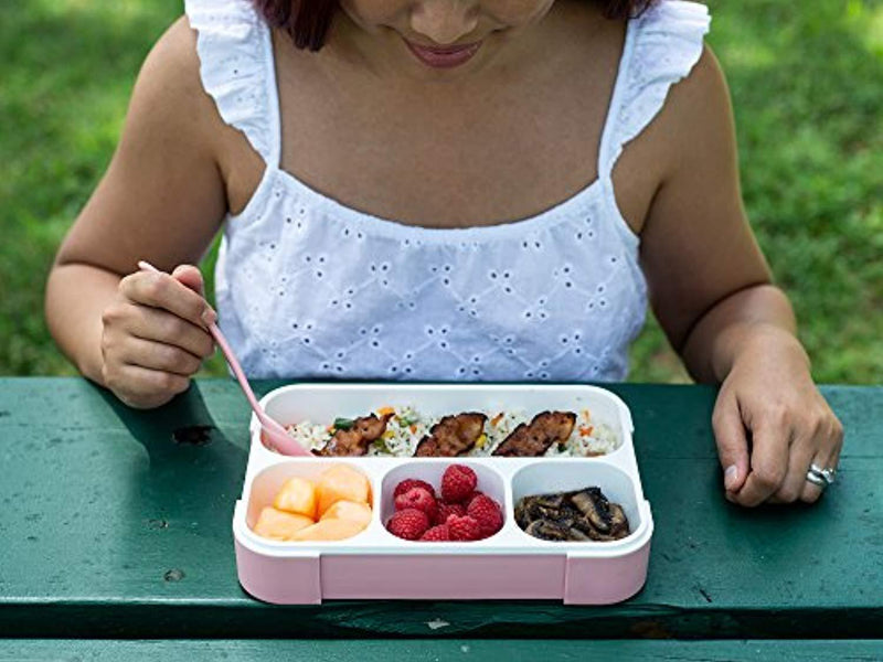 Zimmi Lunch Box Set of 2 Leakproof Lunch Containers, Pink Blue, 3-4 Insulated Compartments, Lightweight Bento Lunch Boxes for Kids Adults Athletes, Fit for Meal Prep, Snacks, Portion Control