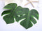 Moon Boat Tropical Palm Leaves Plant Imitation Leaf-Hawaiian/ Luau/Jungle Party Table Decorations (48PCS)
