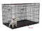 EliteField 3-Door Folding Dog Crate with Rubber FEET, 5 Sizes, 10 Models Available