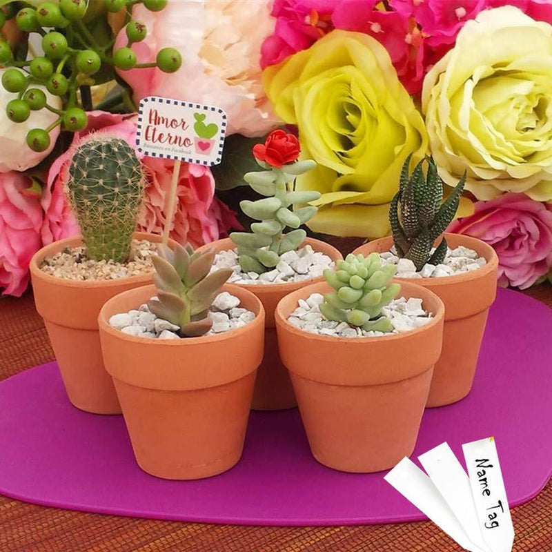 DDMY 28 Pcs Mini Clay Pots 2.3'' Small Terracotta Pot Flower Vases Pottery Planters Clay Ceramic Pots Succulent Nursery Pots- Great for Indoor/Outdoor Plants,Crafts,Wedding Favor Kid Birthday