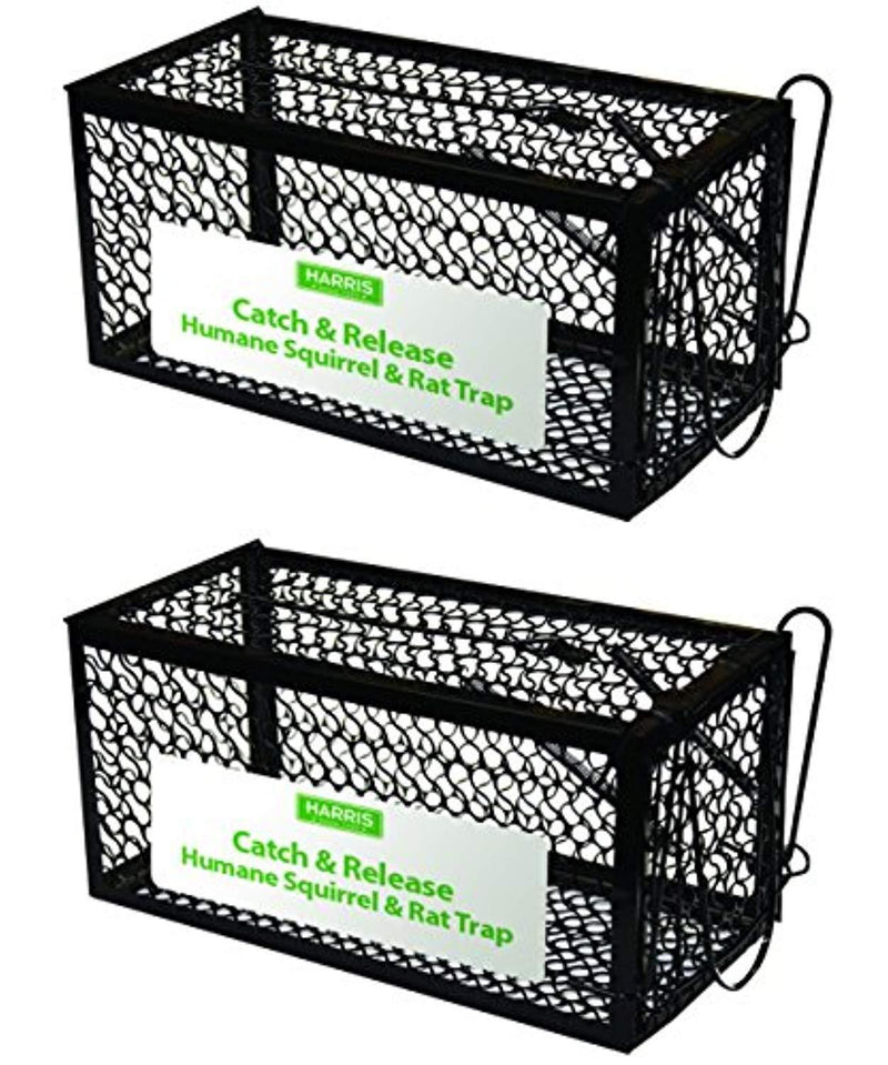 Harris Catch & Release Humane Cage Trap for Rats, Chipmunks, and Small Squirrels (2-Pack)