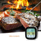 SMARTRO ST59 Meat Thermometer Digital Food Thermometer Cooking Thermometer with Timer Alert 2 Probes for Oven, Kitchen, Grill, Smoker