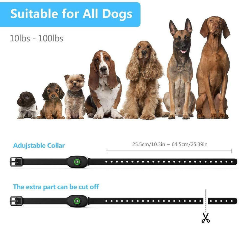 GoPetee Dog Training Collar, Shock Collar with Remote-1300FT/ 400M Range Control, Waterproof and Rechargeable Electric Collar with Beep, Vibration, Shock for Dogs