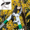 Ymachray Compound Action Anvil Lopper - 28~40 inch Extendable Tree Trimmer and Branch Cutter - 2 Inch Cutting Capacity-Heavy Duty