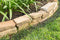 Homarden Garden Cat Scat Mats - Anti-cat and pest Prickle Strips (Set of 6)