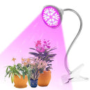 LED Grow Light 50W Full Spectrum Dual Head Desk Clip Grow Lamp with 360 Degree Flexible Gooseneck and Separated Switch Light for Home Potted Plant, Indoor Garden Greenhouse Hydroponics