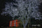 Lemontec Solar String Lights, 200 Led Holiday String Lighting Outdoor Solar Patio Lights Fit Chrismas Garden Wedding Party Landscape[White], 2 Pack 400 LED