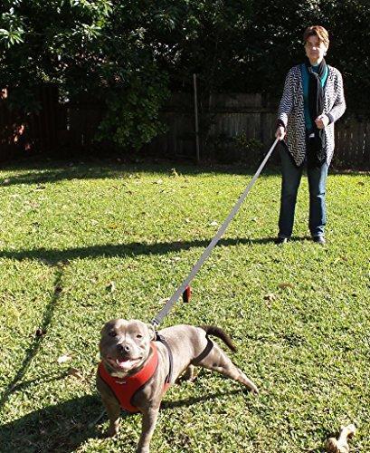 Primal Pet Gear Dog Leash 8ft Long - Traffic Padded Two Handle - Heavy Duty - Double Handles Lead for Control Safety Training - Leashes for Large Dogs or Medium Dogs - Dual Handles Leads