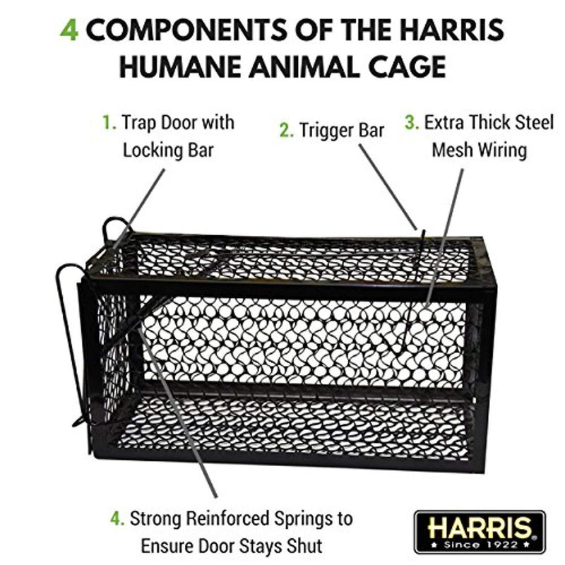 Harris Catch & Release Humane Cage Trap for Rats, Chipmunks, and Small Squirrels (2-Pack)