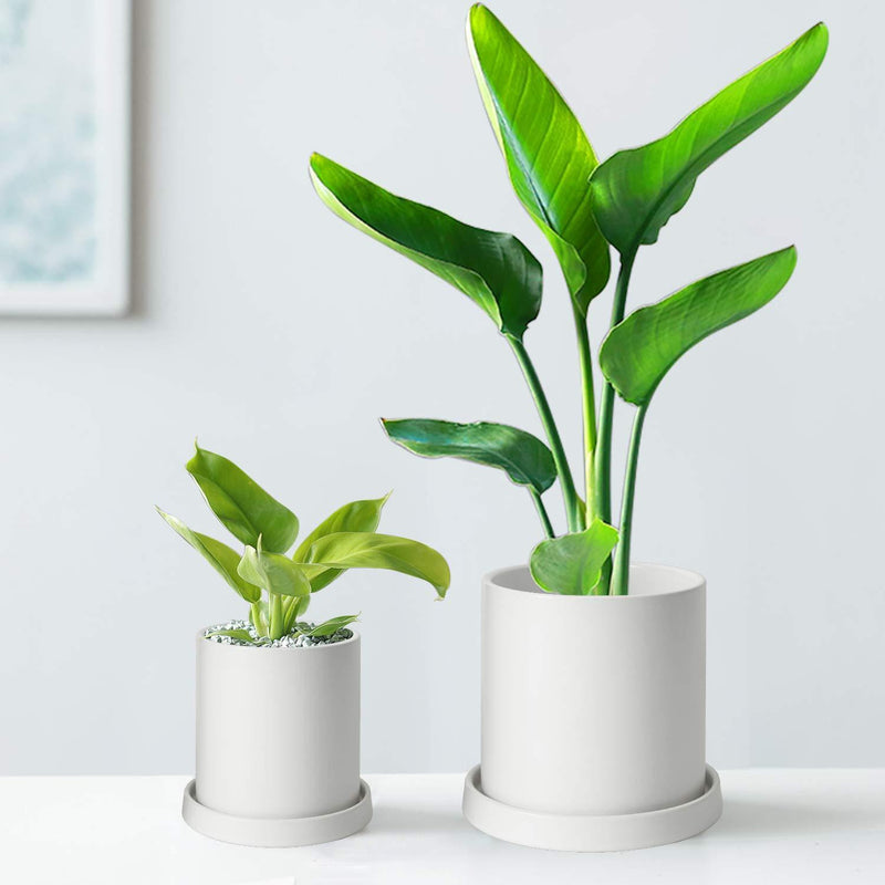 MoonLa Plant Pots - 5.7 + 4.8 Inch White Matt Ceramic Planter for Flower, Cactus, Succulent Planting, with Drainage Hole & Saucer, Set of 2 (Plants Not Included)