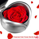 Joypea Valentine's Day Rose,Preserved Fresh Flower Rose Red,Real Rose Flower With Gift Box, Red Flowers Best Gift For Valentine's Day Christmas Anniversary