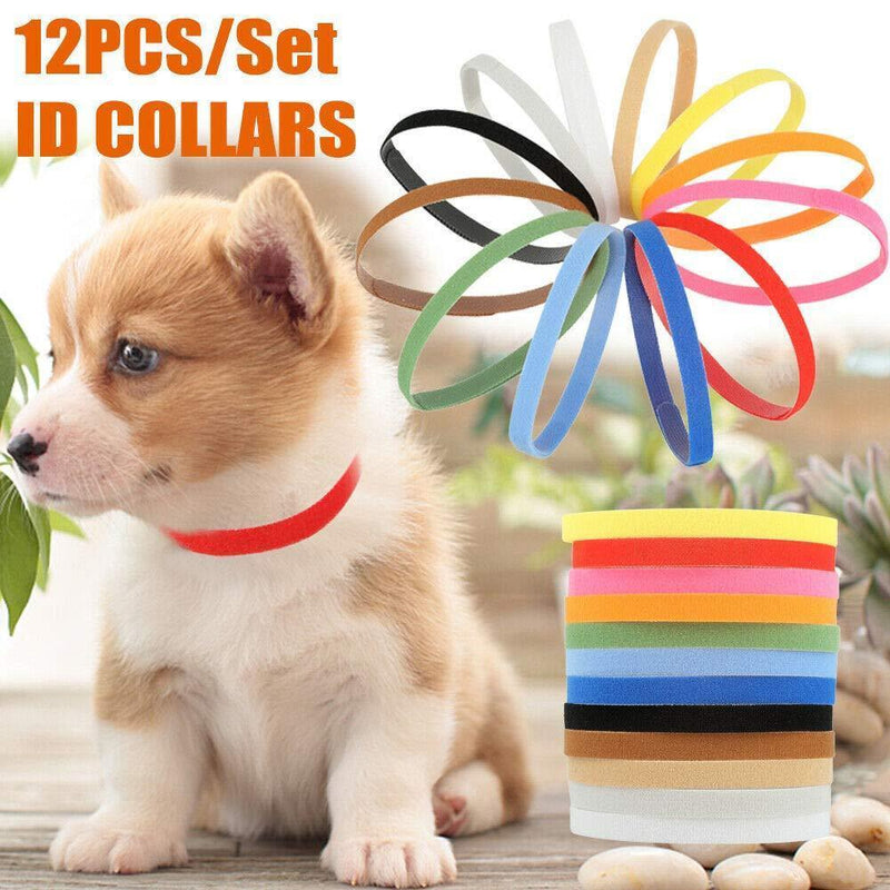Solstice Soft Velcro Whelping ID Collars, Pack of 12 (Assorted Colors), Adjustable & Reusable - Great for Identifying Puppies, Kittens, and Other Small Animals