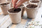 100 Recycled Paper Planting peat Pot 3"- Perfect for Starting Seeds and transferring to Garden Without Damage to Roots. 100% Biodegradable and eco Friendly.