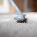 Quality Line Universal Carpet Rake | Effective & Safe Pet Hair Removal | User-Friendly Rug & Carpet Cleaner | Ergonomic & Unique Design | Features a 4 Ft Extendable Pole