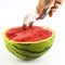 Watermelon Slicer Corer Peeler Stainless Steel Fruit Peeler Faster Melon Cutter-Useful and Smart Kitchen Gadget -Comenzar