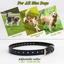 Petrainer Upgraded Model Rechargeable & Waterproof Remote Dog Training Collar 330 yd Electric Dog Bark Collar with Beep/Vibration/Shock Collar for Dogs