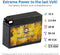 YT4B-BS Sealed Motorcycle Battery -  Rechargeable Replacement - Factory Sealed and Activated - AGM - Pirate Battery