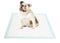 Select Companion Puppy Pee Pads with Scent Remover, 23 by 22 Inches - Pack of 100