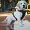 E-PRANCE Soft Front Dog Harness No Pull Pet Vest Harness Adjustable Reflective Easy Walking Small Medium Large Dogs, Black