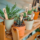 Whaline 50Pcs Wooden Plant Labels with A Marker Pen, Waterproof Pointed Wooden Plant Sign Tags Eco-Friendly Garden Markers for Seed Potted Herbs Flowers Vegetables (15 x 2 cm)