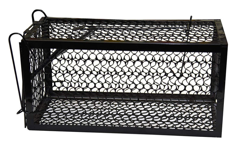 Harris Catch & Release Humane Cage Trap for Rats, Chipmunks, and Small Squirrels (2-Pack)